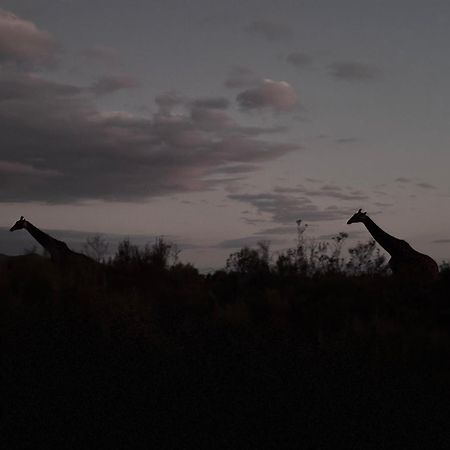 Wildehondekloof Game Lodge Matjiesrivier  Экстерьер фото